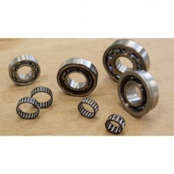 Kit roulements (SKF) moteur...