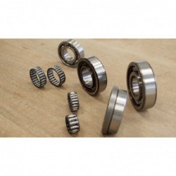 Kit roulements (SKF) moteur...