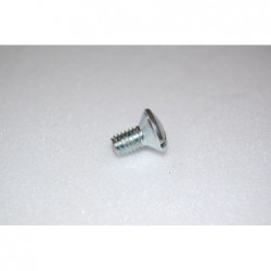 Front brake cooker screw.